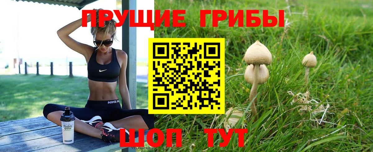 Галлюциногенные грибы Psilocybine cubensis Москва