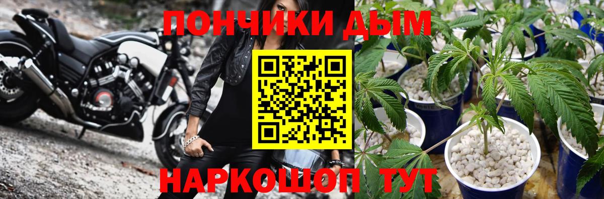 Конопля план Москва